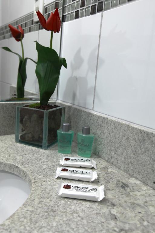 Skala Traveling Hotel Cuiabá Eksteriør bilde